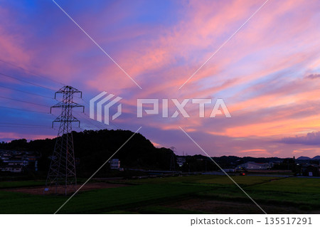 夕陽西下，粉紫色的天空映照著一座輸電塔和鄉村景色，美不勝收。 135517291