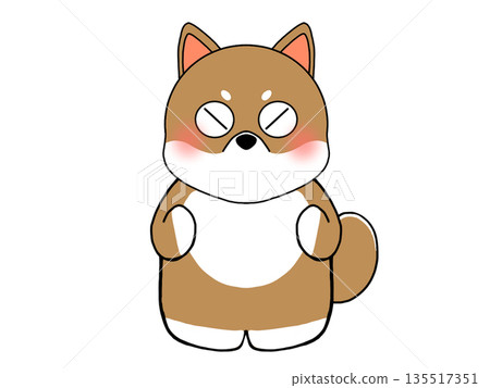 憤怒的柴犬插圖 憤怒的柴犬插圖 135517351