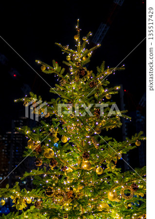 Christmas Night Illuminations in Tokyo, Marunouchi Christmas Night Illuminations in Tokyo, Marunouchi 135517429