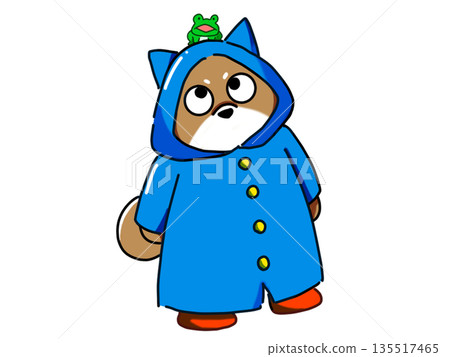 一隻柴犬的插圖,頭上站著一隻青蛙 一隻柴犬的插圖,頭上站著一隻青蛙 135517465