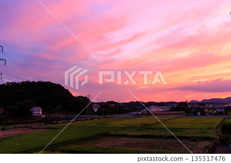 A beautiful, fantastical sunset with pink and purple colors spreading across the countryside and townscape 135517476