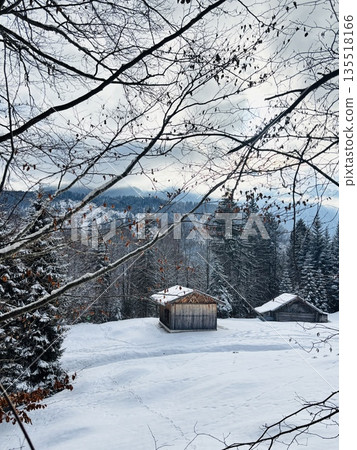 Winter alpine village Bavaria Zugspitze 135518166