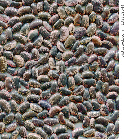 scarlet runner beans 135518944