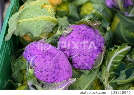 lilac cauliflower heads lilac cauliflower heads 135518945