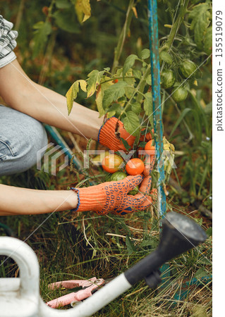 Gardening in summer. Woman watering flowers with a watering can. Girl wearing a hat. 135519079