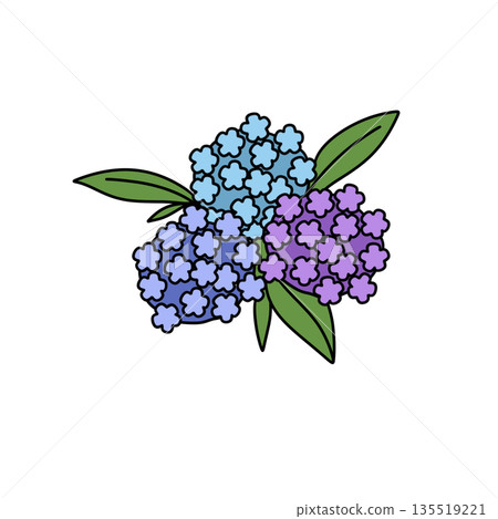 A blue and purple flower with green leaves 135519221