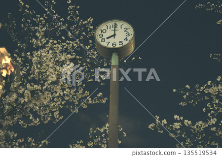 夜晚的櫻花和時鐘 135519534