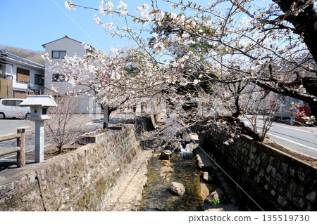Takahashi City, Okayama Prefecture_Koyagawa Aesthetic Area 10_March 2025 135519730