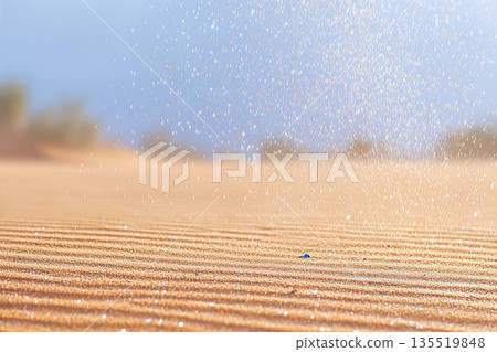 Closeup of Sand Textures in Arab Desert Showing Wind Patterns and Small Objects on the Ground 135519848