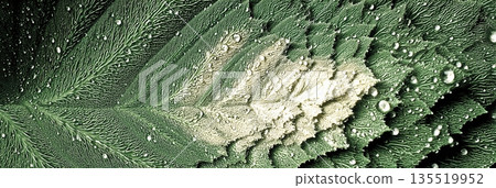Fractal Patterns Found in Nature Showcasing the Beauty of Leaf Structures With Water Droplets 135519952
