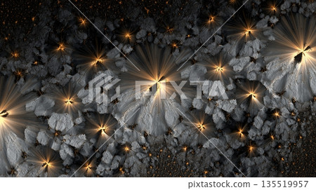 Fractals Show Patterns in Nature With Light and Dark Shades in Various Designs 135519957