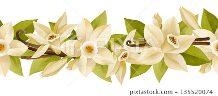 Hand-drawn watercolor seamless border of blooming vanilla flowers and vanilla pods and leaves isolated on white background 135520074