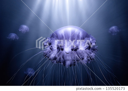 Exploring Deep Sea Mysticism With Glowing Jellyfish in Dark Ocean Waters Exploring Deep Sea Mysticism With Glowing Jellyfish in Dark Ocean Waters 135520173