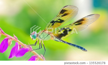 Macro View of a Dragonfly Resting on a Flower With a Green Background in Broad Daylight 135520178