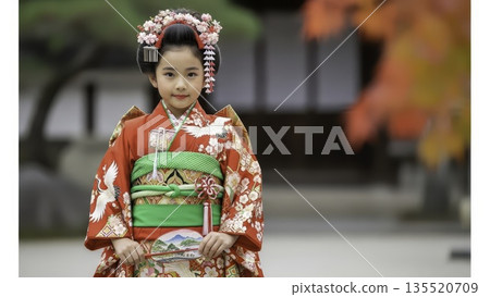 Little japanese girl with a traditional hairstyle and hair ornaments wearing a vibrant red silk kimono with crane patterns during the shichi-go-san festival. Cultural tradition concept 135520709