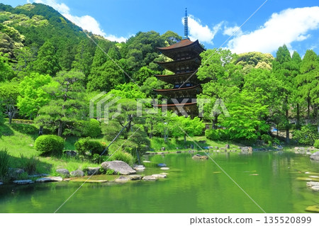[Yamaguchi Prefecture] The five-story pagoda and pagoda-shadow pond at Rurikoji Temple on a clear day 135520899