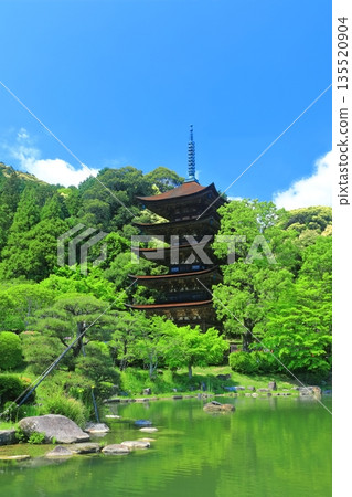 [Yamaguchi Prefecture] The five-story pagoda and pagoda-shadow pond at Rurikoji Temple on a clear day 135520904