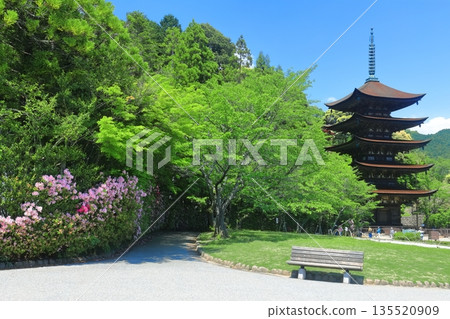 [Yamaguchi Prefecture] Fresh green Ruriko-ji Five-storied Pagoda 135520909