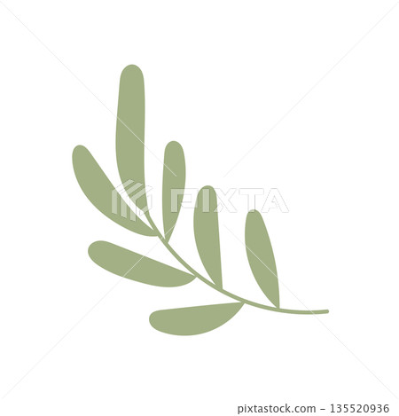 Simple green branch drawing with soft curves, useful for eco design projects, neutral decorative elements, and calm nature inspired layouts 135520936