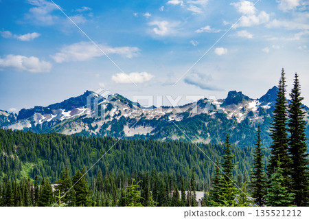 Scenery landscape of mountain. Scenery coniferous forest. Pine tree and mountain forest landscape. Mountain landscape. Forest nature mount. Nature in mountain countryside. Breathtaking wilderness 135521212