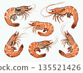 Multiple realistic style shrimps shown in different poses, digital hand-drawn look, isolated on white background, concept of seafood variety 135521426