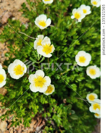 100 Famous Mountains Mount Sharidake 25 100 Famous Mountains Mount Sharidake 25 135521565