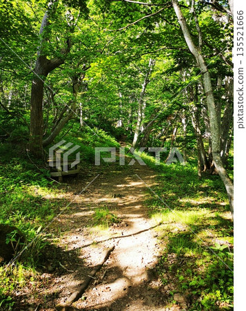 日本百座名山之一：羅臼山 135521666