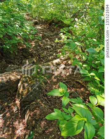 Japan's 100 Famous Mountains Mt. Rausu Japan's 100 Famous Mountains Mt. Rausu 135521694