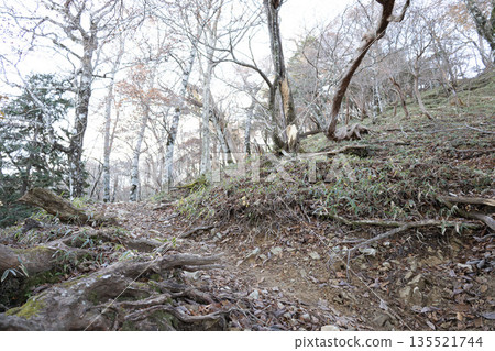 八峽山,日本百岳之一,奈良 八峽山,日本百岳之一,奈良 135521744