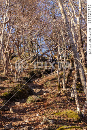 Mount Yatsugatake, one of Japan's 100 famous mountains, Nara 135521752
