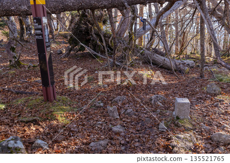 Mount Yatsugatake, one of Japan's 100 famous mountains, Nara 135521765