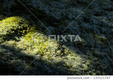 八峽山,日本百岳之一,奈良 八峽山,日本百岳之一,奈良 135521787