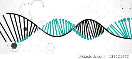Futuristic medical and science background, DNA strands, connected neural web Futuristic medical and science background, DNA strands, connected neural web 135521972