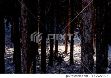 260118 Hida Farm Highway m175 260118 Hida Farm Highway m175 135522023