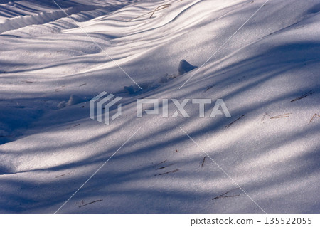260118 飛驒農場公路 m290 260118 飛驒農場公路 m290 135522055