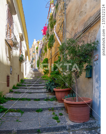 Narrow uphill street in Naples lined with small bushes and potted trees, bathed in warm summer sunlight, capturing the quiet charm of a southern Italian neighborhood. 135522114