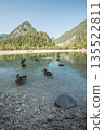 Ducks standing in clear alpine lake with mountain scenery in Kranjska Gora Slovenia 135522811