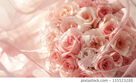 Blooms of Pink Flowers Wrapped in Transparent Fabric With Soft Light Shining Through at Daytime Blooms of Pink Flowers Wrapped in Transparent Fabric With Soft Light Shining Through at Daytime 135523288