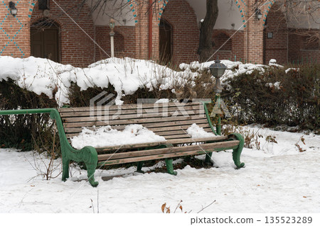 Tabby cat sits on wooden bench in courtyard of Blue Mosque, winter snow, dry branches, soft neutral tones create a calm urban mood Tabby cat sits on wooden bench in courtyard of Blue Mosque, winter snow, dry branches, soft neutral tones create a calm urban mood 135523289