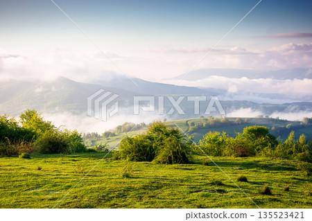 carpathian mountain landscape of ukraine in morning fog. lush green alpine meadows in spring. beautiful view in to the valley. blue sky with clouds on sunny morning. csr visual for esg report carpathian mountain landscape of ukraine in morning fog. lush green alpine meadows in spring. beautiful view in to the valley. blue sky with clouds on sunny morning. csr visual for esg report 135523421