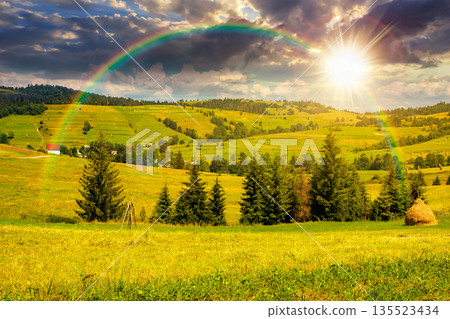 grassy rural hills in mountains at sunset. wonderful summer countryside in evening light. spruce trees on the green meadow. storytelling cinematic image under the rainbow grassy rural hills in mountains at sunset. wonderful summer countryside in evening light. spruce trees on the green meadow. storytelling cinematic image under the rainbow 135523434