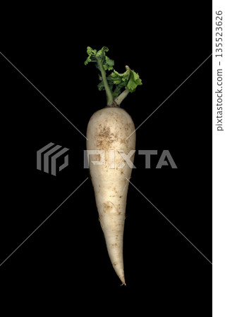 Japanese daikon radish on a black background Japanese daikon radish on a black background 135523626