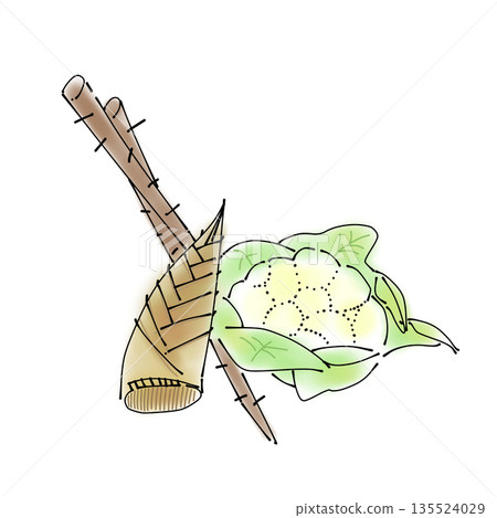 簡單的食物插圖 | 蔬菜、竹筍、牛蒡、花椰菜 135524029