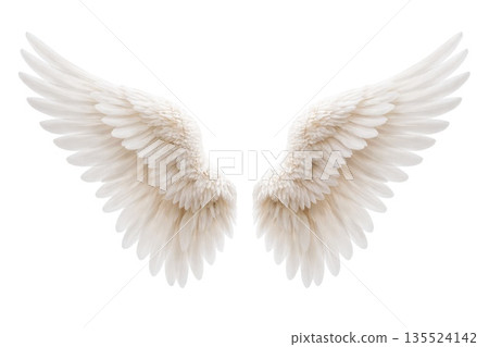White Angel Wings Isolated on Clean Background 135524142