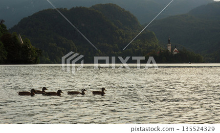 Scenic View of Lake Bled with Church on Bled Island, Slovenia 135524329