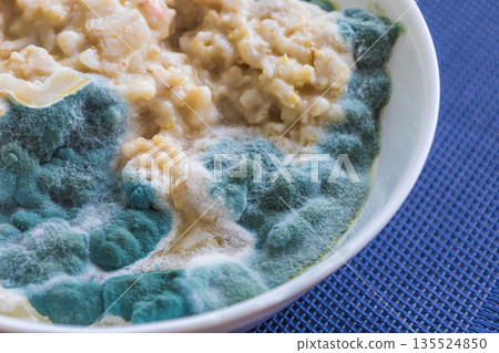 Moldy spoiled food on plate 135524850