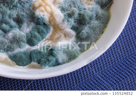 Moldy spoiled food on plate Moldy spoiled food on plate 135524852