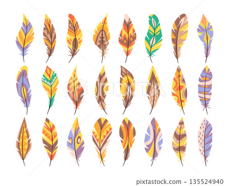 Collection of feathers and plumes with tribal patterns, native aesthetic ornaments isolated on white 135524940