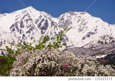 白馬村的春日景色 白馬村的春日景色 135525171