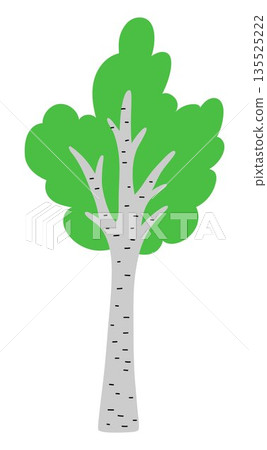 Vector green birch tree icon isolated on white background. Garden or forest plant with twigs and leaves. Flat spring, Easter village or farm illustration. Natural greenery picture Vector green birch tree icon isolated on white background. Garden or forest plant with twigs and leaves. Flat spring, Easter village or farm illustration. Natural greenery picture 135525222